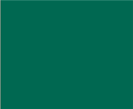 FL matte dark green